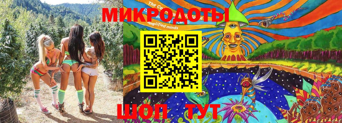 Белгород  Псилоцибиновые грибы Psilocybine cubensis  Вход с VPN 
